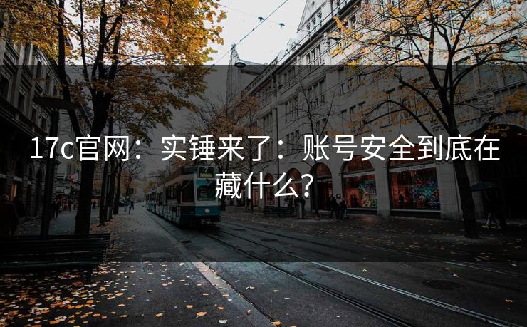 17c官网：实锤来了：账号安全到底在藏什么？
