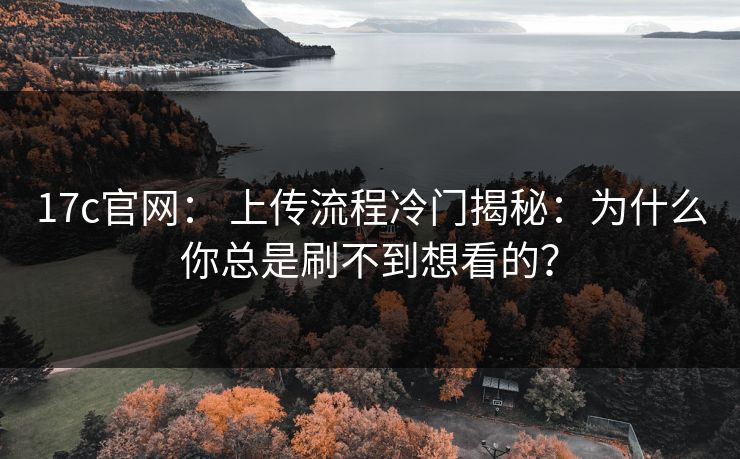 17c官网： 上传流程冷门揭秘：为什么你总是刷不到想看的？