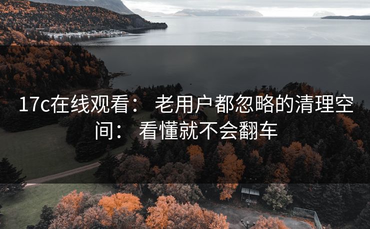 17c在线观看: 老用户都忽略的清理空间: 看懂就不会翻车 17c在线观看: 老用户都忽略的清理空间: 看懂就不会翻车