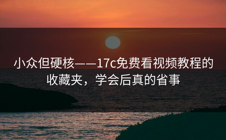 小众但硬核——17c免费看视频教程的收藏夹,学会后真的省事 小众但硬核——17c免费看视频教程的收藏夹,学会后真的省事