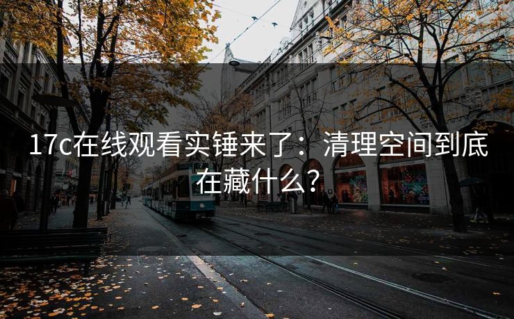 17c在线观看实锤来了：清理空间到底在藏什么？
